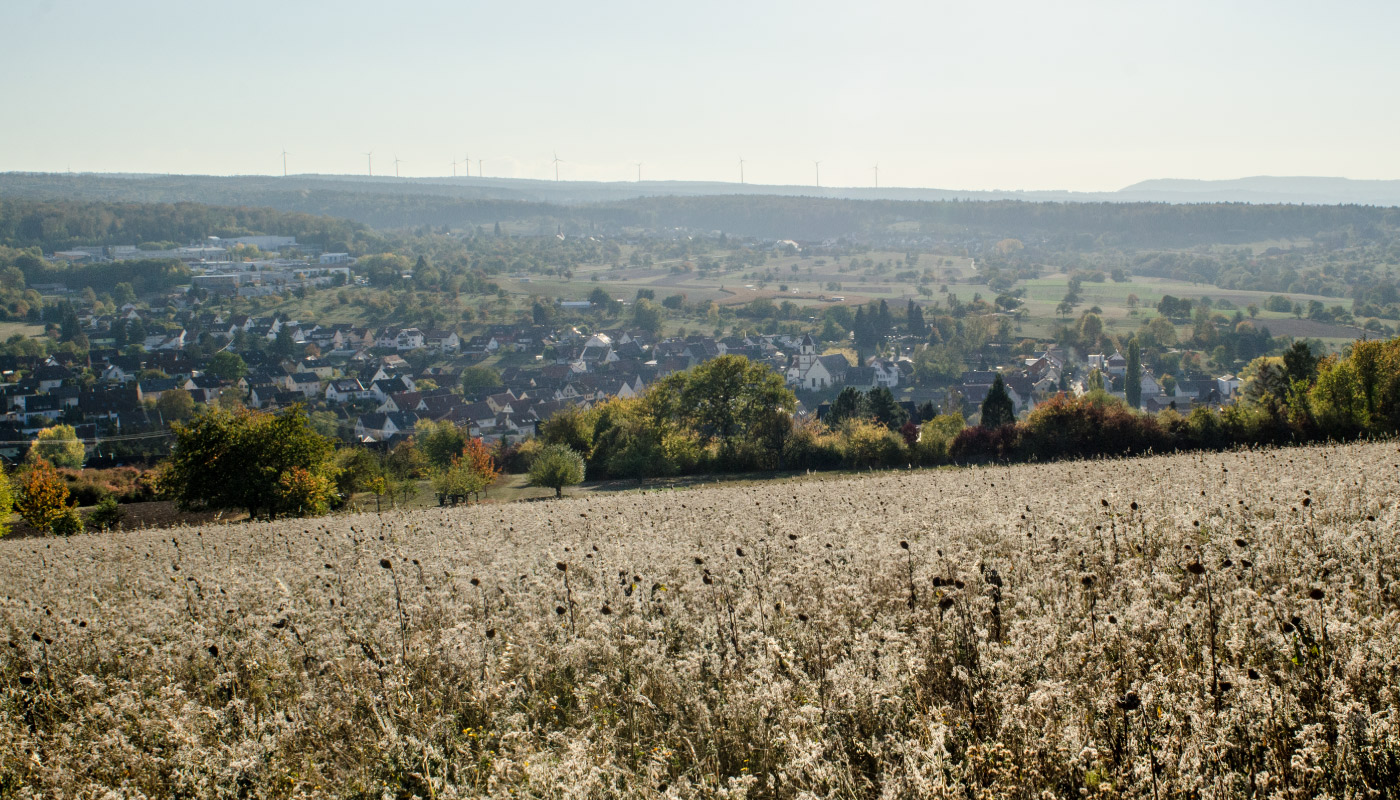 Blick über Birkenfeld, Landschaft mit Feldern, Dorf und Windrädern