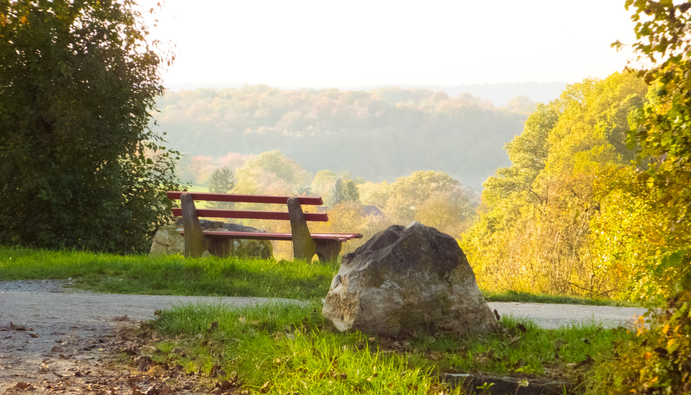 Rote Bank auf Wiese vor herbstlichem Wald im warmen Abendlicht
