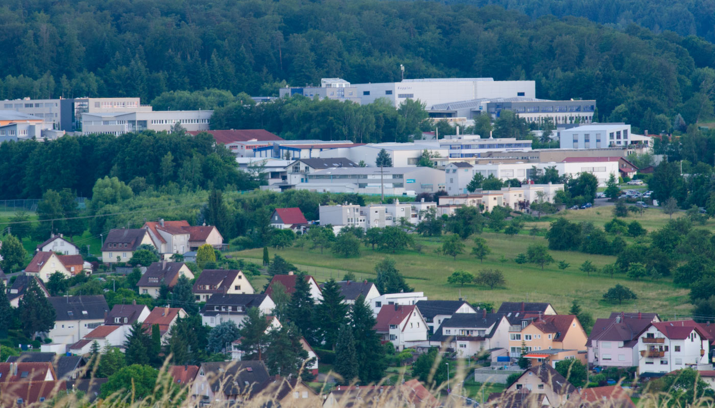 Panoramaaufnahme von Birkenfeld mit Wohnhäusern, modernen Gebäuden und angrenzendem Wald.